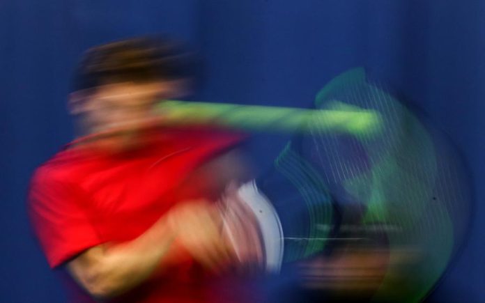 27038661.jpg