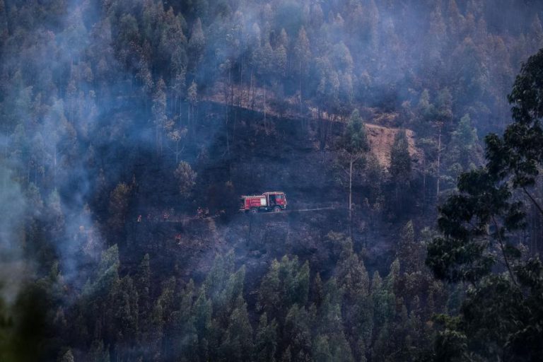 INCÊNDIOS: DOMINADO FOGO EM MIRANDA DO CORVO APÓS “PRECIPITAÇÃO INTENSA NO LOCAL”