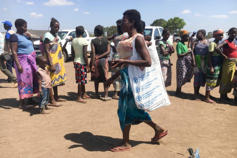 ISABEL AGARRA-SE ÀS SEMENTES DA FAO PARA REFAZER A VIDA MEIO ANO APÓS CICLONE IDAI EM MOÇAMBIQUE