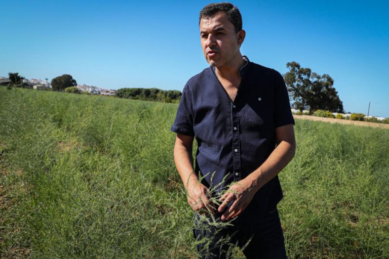 TANCOS: CASO ESTÁ A DESVIAR ATENÇÃO DAQUILO QUE É ESSENCIAL NA CAMPANHA, DIZ ANDRÉ SILVA