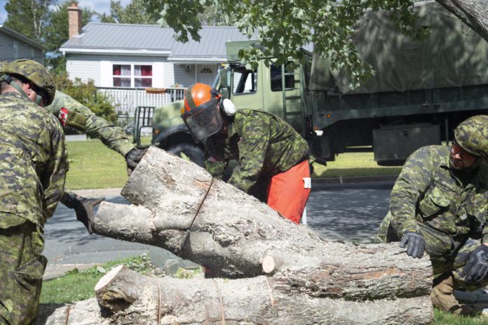 Foto: Canadian Army Foto: Canadian Army