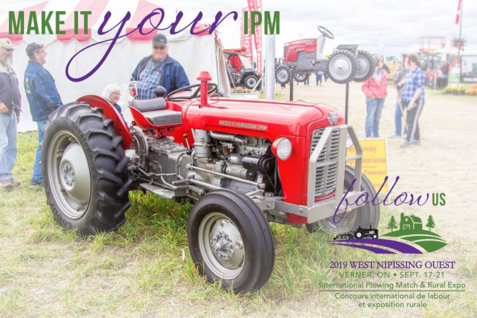 Foto: IPM 2019