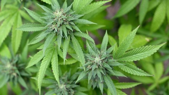 Foto: Financial Times