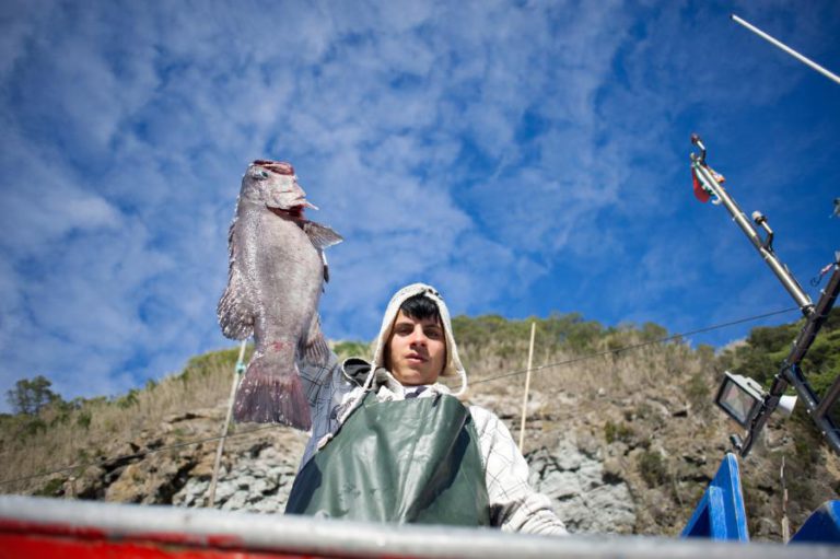 PESCADORES AÇORIANOS CONSIDERAM ELEVADA META DE 15% DE ÁREAS PROTEGIDAS