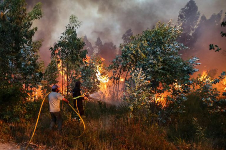 INCÊNDIOS: MAIS DE 130 OPERACIONAIS E OITO MEIOS AÉREOS COMBATIAM ÀS 17:00 FOGO EM CASTELO BRANCO