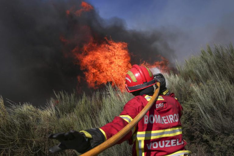 UM TERÇO DOS FOGOS DESTE ANO TIVERAM COMO CAUSA QUEIMA E QUEIMADAS