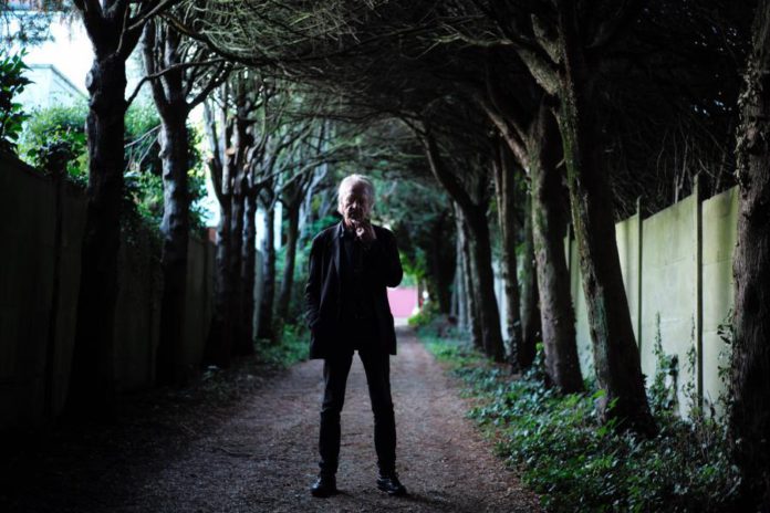 27233622.jpg