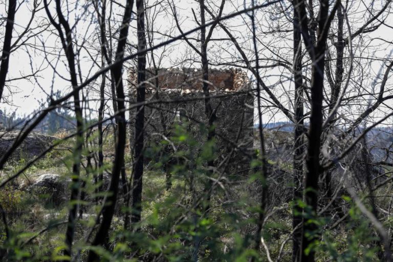 ESPECIALISTA XAVIER VIEGAS DEFENDE FIXAÇÃO DE PESSOAS NAS ZONAS FLORESTAIS REMOTAS