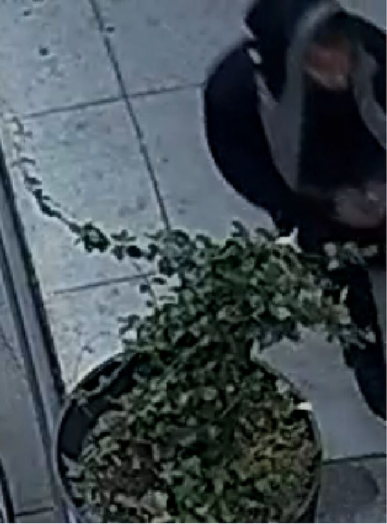 Foto: Toronto Police Service