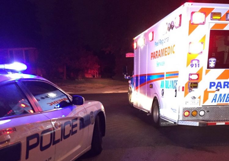 Foto: Scott Fox and Kat Callaghan