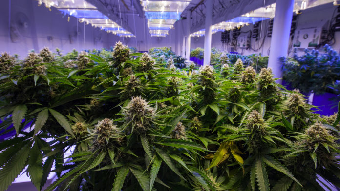 Foto: The Street Foto: The Street