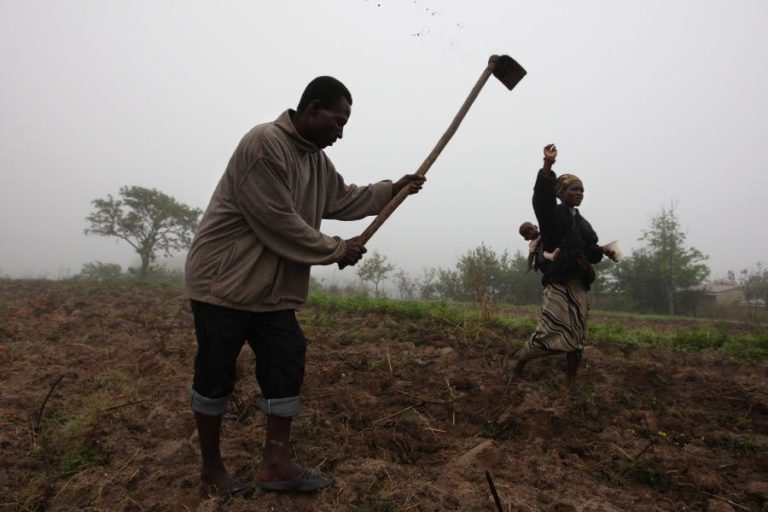 PETROLÍFERAS INVESTEM 9,4 ME EM AGRONEGÓCIOS E FORMAÇÃO DE JOVENS EM MOÇAMBIQUE