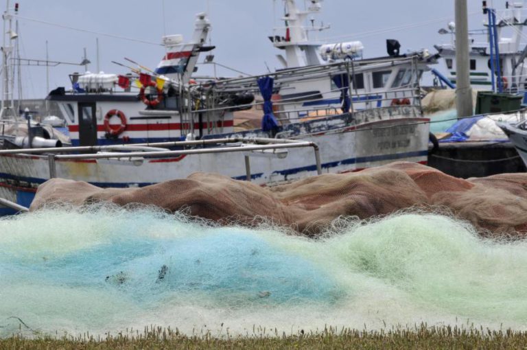 FISCO DIZ QUE INSPEÇÕES A PESCADORES “ENVOLVERAM MENOS DE 1% DOS OPERADORES”