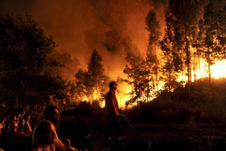 ALTO MINHO PERDE MAIS DE 22,8 ME COM FLORESTA DESTRUÍDA POR QUEIMADAS EM TRÊS ANOS