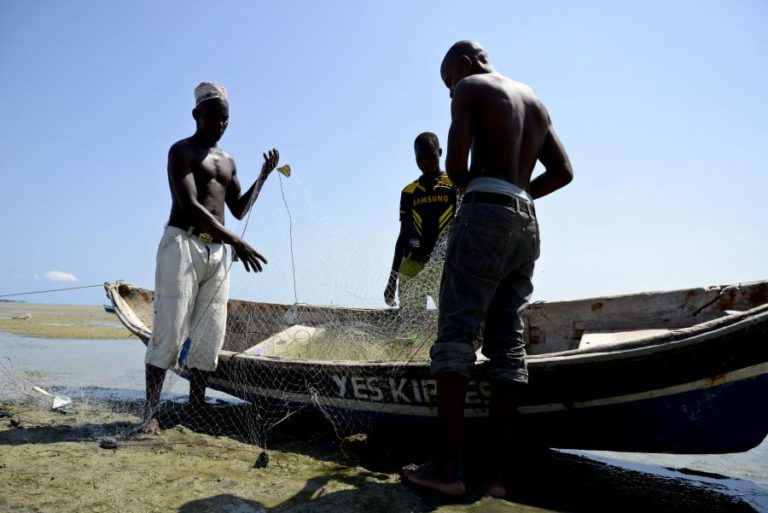 MOÇAMBIQUE PERDE 54 ME ANUAIS DEVIDO À PESCA ILEGAL — FISCALIZAÇÃO