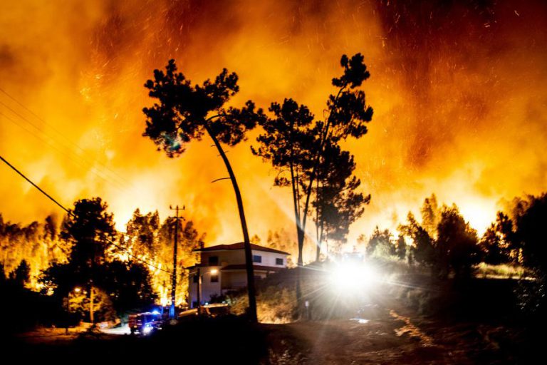 TRIBUNAL ABSOLVE MULHER ACUSADA DE QUEIMADA QUE ORIGINOU FOGOS NO PINHAL DE LEIRIA