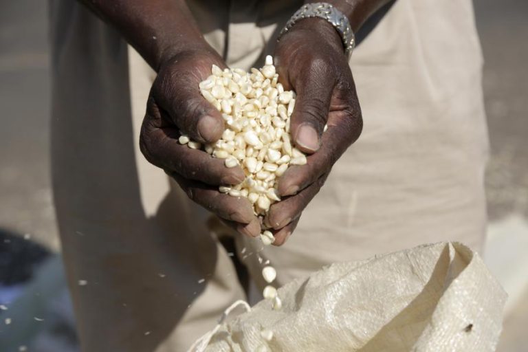 INSEGURANÇA ALIMENTAR VAI AFETAR DOIS MILHÕES DE PESSOAS EM MOÇAMBIQUE – ONG