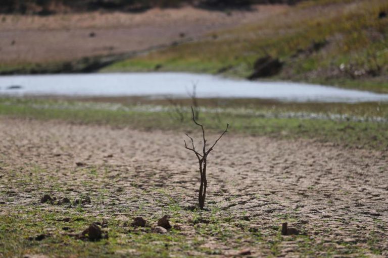 TRINTA E SEIS POR CENTO DO CONTINENTE EM SECA SEVERA E EXTREMA, DESAGRAVAMENTO NO NORTE E CENTRO