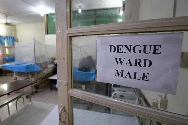 BRASIL ESTÁ A DESENVOLVER VACINA CONTRA A DENGUE QUE VAI BENEFICIAR TAMBÉM ANGOLA