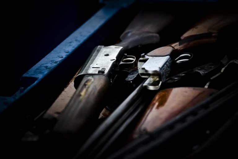 PSP APREENDEU NA MADEIRA 729 ARMAS DE FOGO ILEGAIS