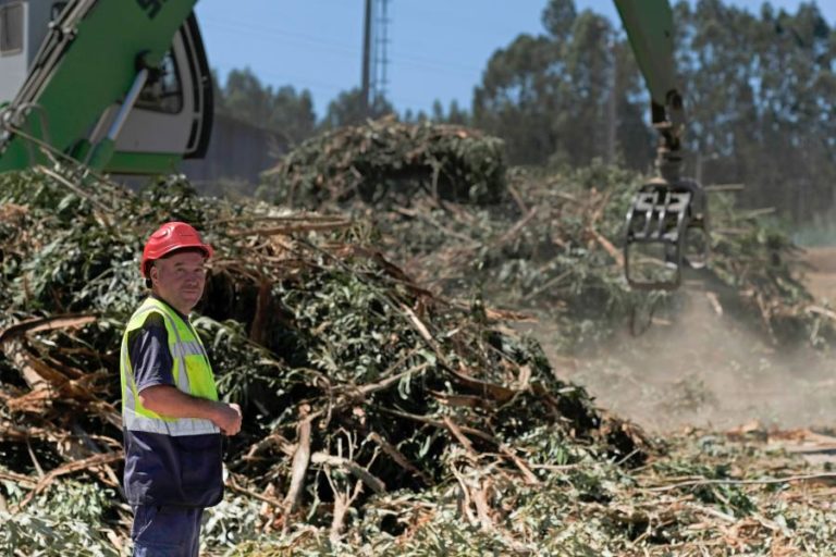 PROJETO IBÉRICO ANALISA QUALIDADE DA BIOMASSA PARA USO MAIS BARATO PELAS EMPRESAS