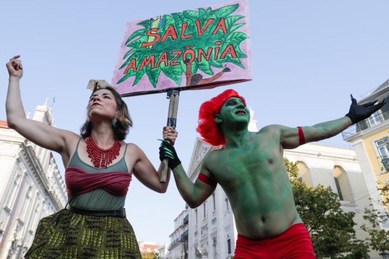 COP25: AMBIENTALISTAS DEFENDEM QUE PROTEÇÃO DA AMAZÓNIA É CRUCIAL PARA A ECONOMIA