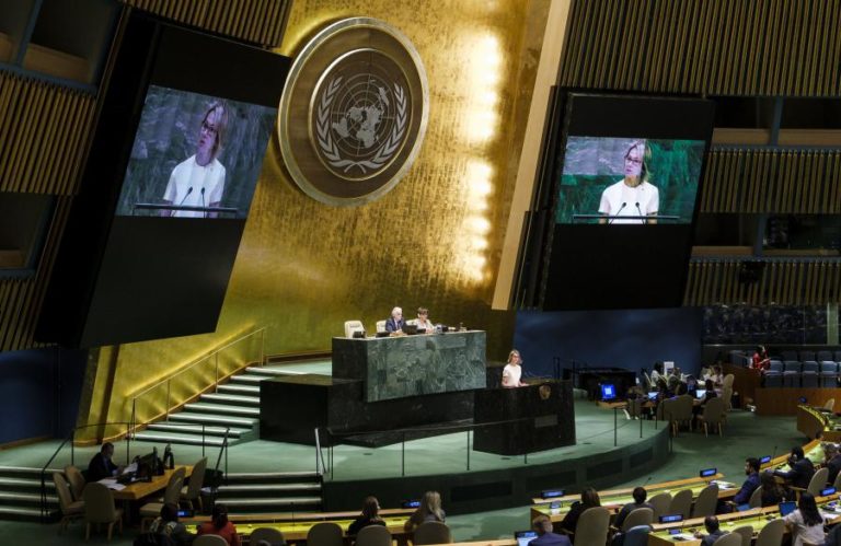 ONU AVANÇA PARA TRATADO INTERNACIONAL DE COMBATE AO CIBERCRIME COM OBJEÇÕES DA UE E EUA