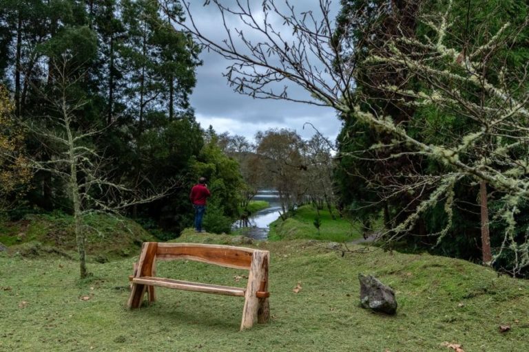 PARQUE DA GRENÁ INAUGURA HOJE COM 18 HECTARES DE FLORESTA JUNTO À LAGOA DAS FURNAS
