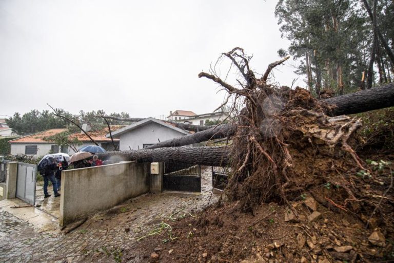 “MILHARES” DE HABITAÇÕES SEM LUZ DEVIDO À DEPRESSÃO ELSA