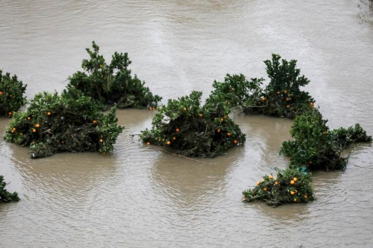 INTERCIDADES DESCARRILA JUNTO A FORNOS DE ALGODRES SEM CAUSAR VÍTIMAS DEVIDO AO MAU TEMPO