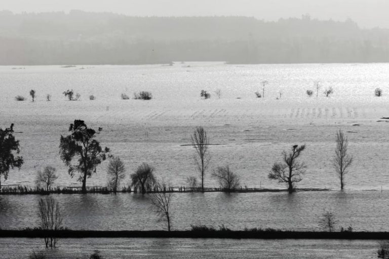 BAIXO MONDEGO PREOCUPA, MAS CAUDAIS ESTÃO A REGRESSAR À NORMALIDADE – PROTEÇÃO CIVIL