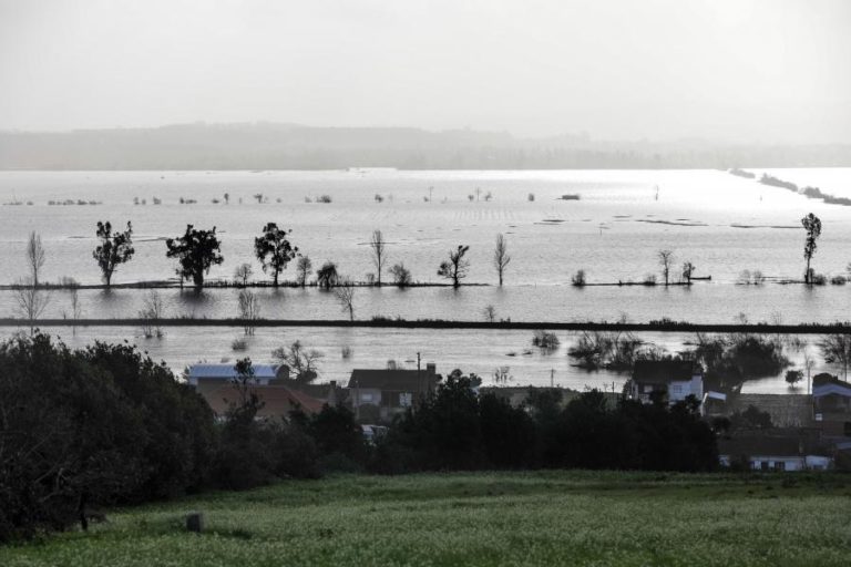 SEM BARRAGEM A MONTANTE DA AGUIEIRA SERÁ DIFÍCIL TRAVAR CHEIAS – ORDEM DOS ENGENHEIROS