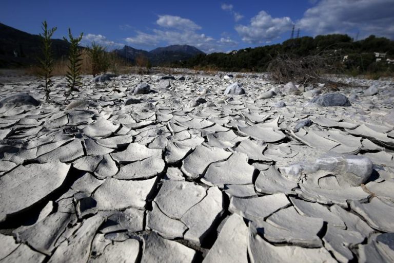 ESTUDO RELACIONA PRIMAVERAS MAIS VERDES E LONGAS COM VERÕES MAIS SECOS E QUENTES