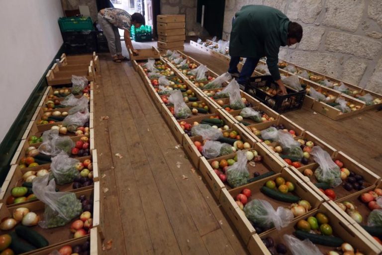 FRUTA FEIA JÁ TIROU DUAS MIL TONELADAS DO LIXO E ENTREGOU 1 ME AOS AGRICULTORES