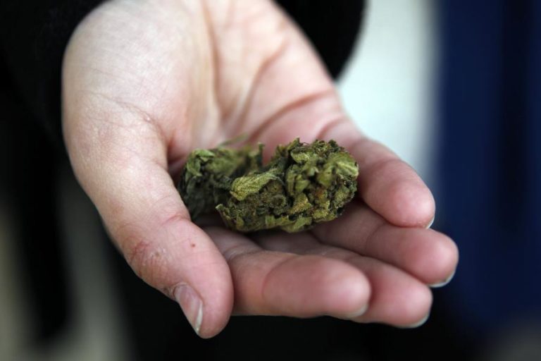 ASAE APREENDE PRODUTOS E GÉNEROS ALIMENTÍCIOS COM CANÁBIS SATIVA E CANABINOIDES