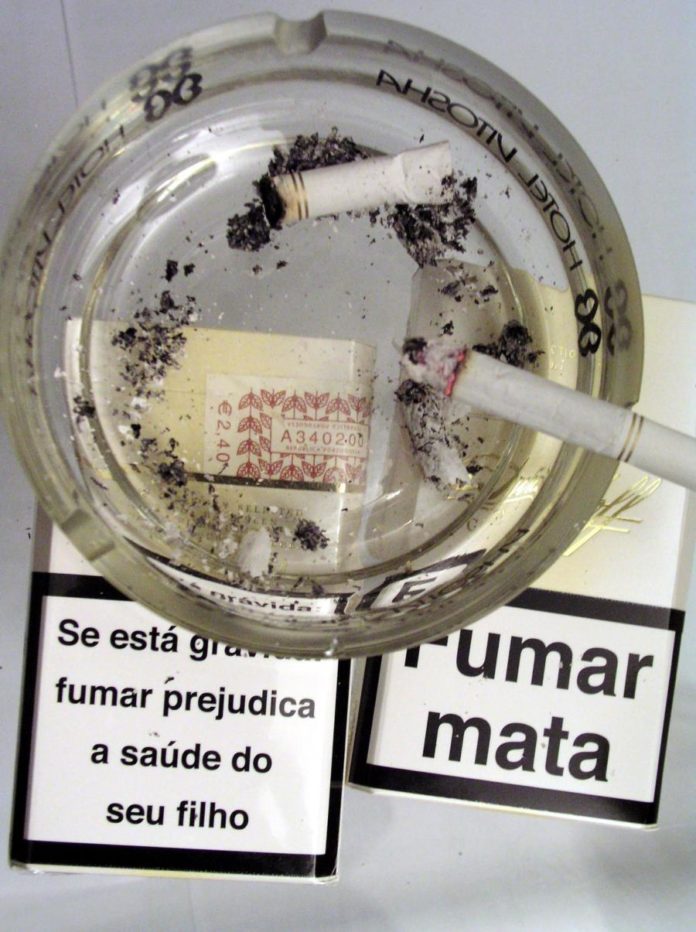 2304520.jpg