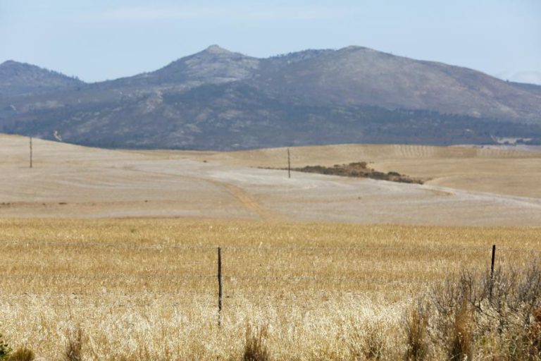 ONU ESTIMA EM 45 MILHÕES O NÚMERO DE PESSOAS AMEAÇADAS DE FOME NA ÁFRICA AUSTRAL