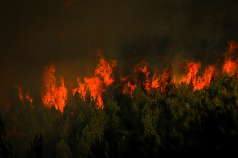 INCÊNDIOS: PRESIDENTE PROMULGA PROLONGAMENTO DE VIGÊNCIA DO OBSERVATÓRIO TÉCNICO INDEPENDENTE
