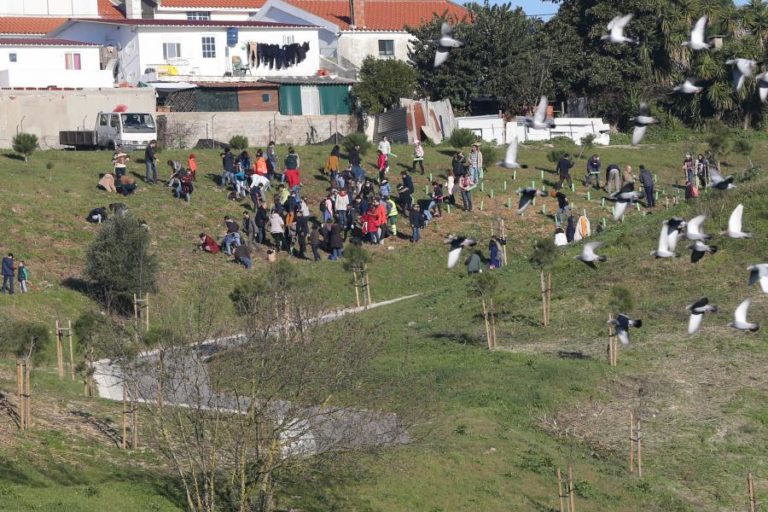 LISBOA VERDE: MAIS DE 4.500 PESSOAS PLANTARAM HOJE 20 MIL ÁRVORES NA CIDADE