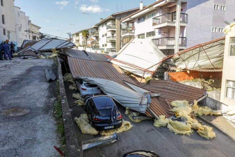 MAU TEMPO PROVOCA 150 QUEDAS DE ÁRVORES NO DISTRITO DE COIMBRA
