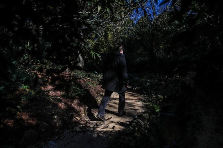 JARDIM BOTÂNICO TROPICAL EM BELÉM REABRE NO SÁBADO COM ESPAÇOS RENOVADOS