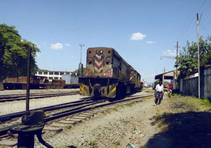 11832442.jpg