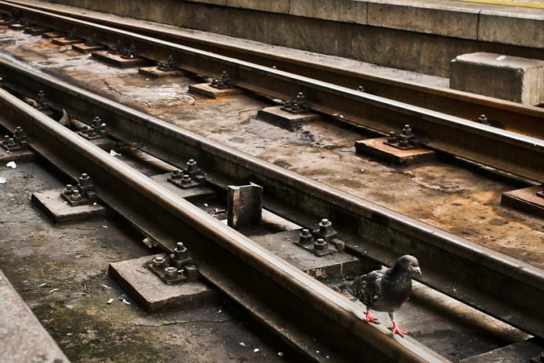 COVID-19: ÁUSTRIA SUSPENDE TODAS AS LIGAÇÕES FERROVIÁRIAS COM ITÁLIA