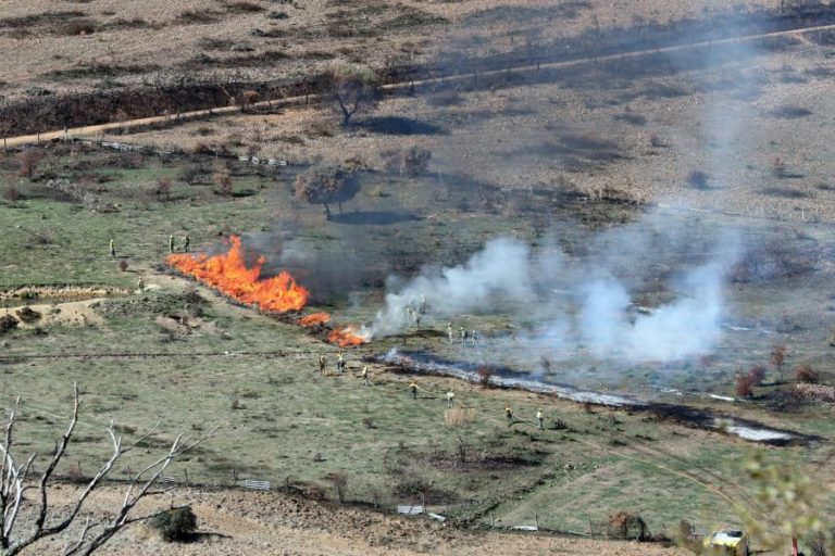 INCÊNDIOS: CADA REGIÃO TERÁ PROGRAMA PRÓPRIO CONSOANTE ESPECIFICIDADE DO TERRITÓRIO