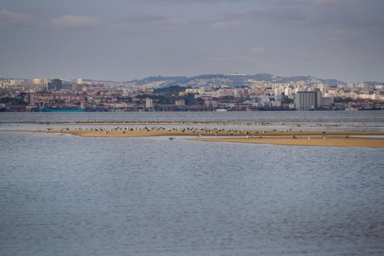 MONTIJO: PATRONATO APELA AO INÍCIO URGENTE DAS OBRAS DO NOVO AEROPORTO