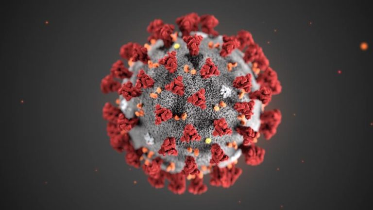 RECÉM-NASCIDO CHINÊS INFETADO PELO NOVO CORONAVÍRUS