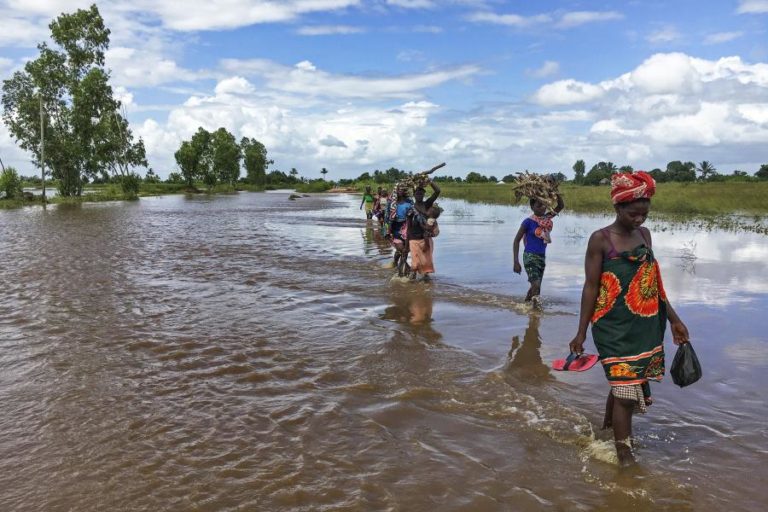 SEGURO DE SEMENTES ILUSTRA POTENCIAL DA INCLUSÃO FINANCEIRA EM MOÇAMBIQUE