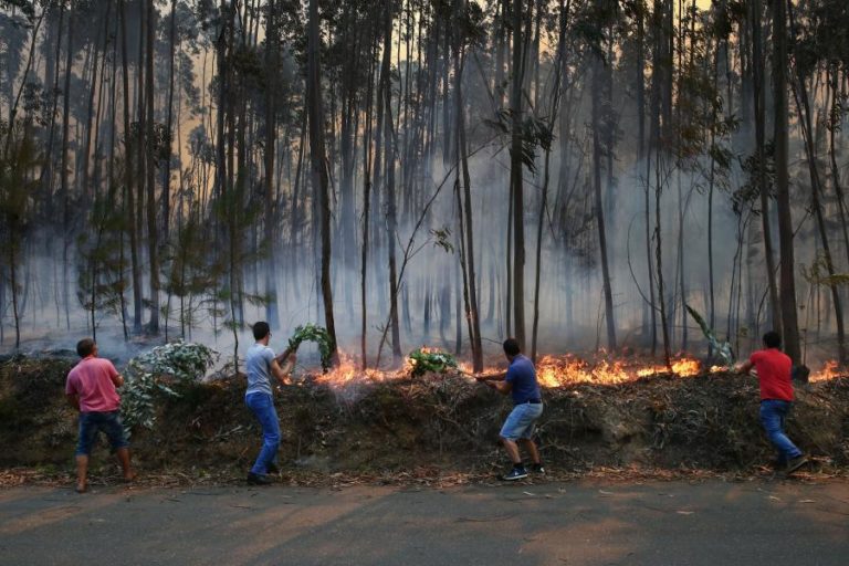 CSM E ORDEM DOS ADVOGADOS DESFAVORÁVEIS A PROJETO DO CHEGA SOBRE INCENDIÁRIOS