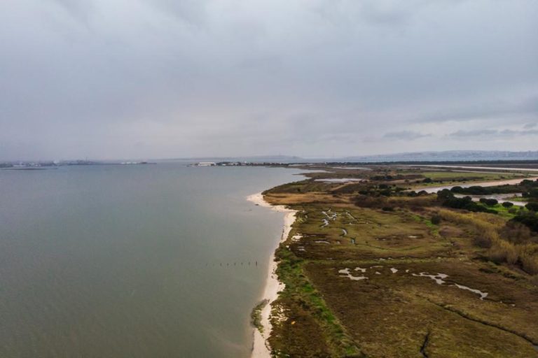 MONTIJO: PROVIDÊNCIA CAUTELAR SUSPENDE DECLARAÇÃO DE IMPACTE AMBIENTAL DO AEROPORTO