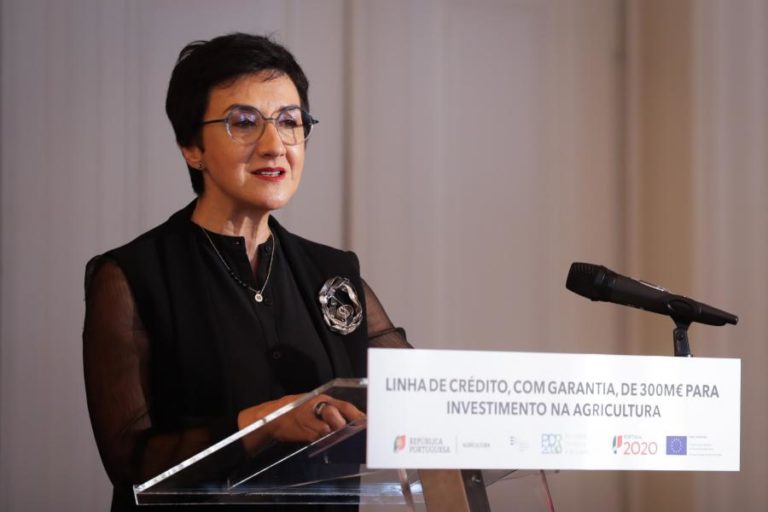 GOVERNO LANÇA LINHA DE CRÉDITO SUPERIOR A 300 ME PARA INVESTIMENTOS AGRÍCOLAS